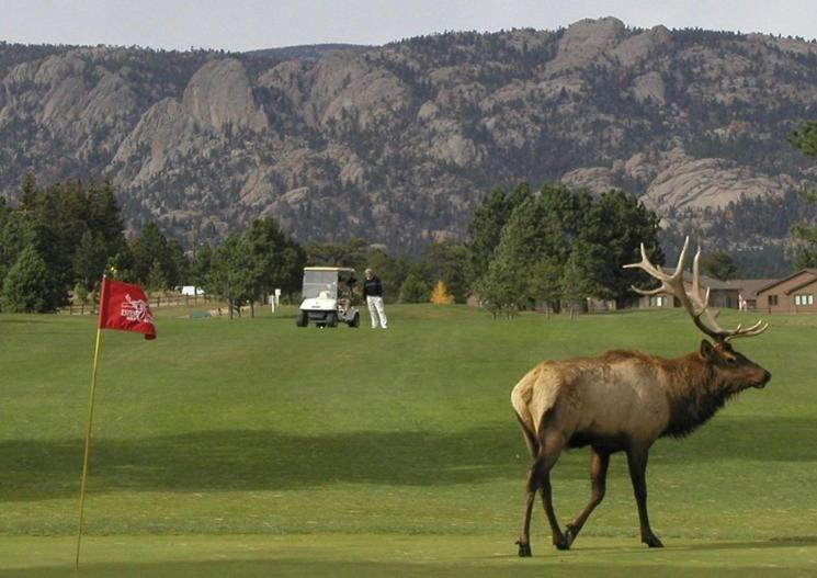 Lily Mountain Lodge - Amazing Mountains Views, Private Hot Tub, Great Location Estes Park Exterior photo